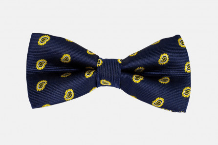 Blue Stripe with Yellow Designs
